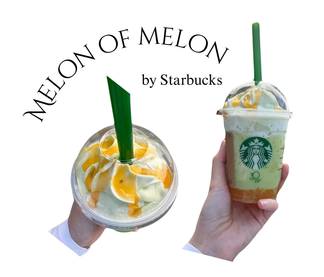 もう飲んだ？ スタバ30th復刻 THE フラペチーノ of メロン of メロン