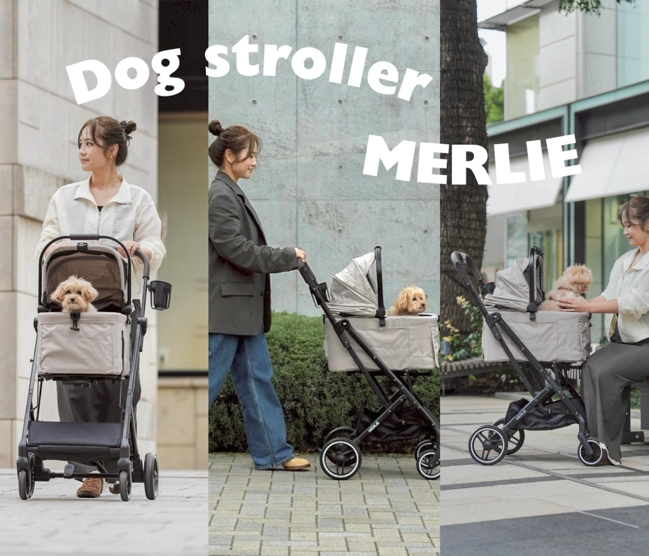 おしゃれな犬用ペットキャリーならこれ！軽くて可愛いと話題のブランドをレビュー