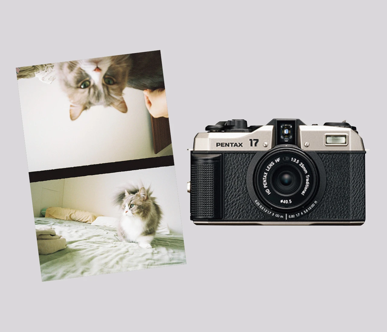 【カメラが欲しい！】レトロで味のある写真に仕上げたいなら「フィルムカメラ」がおすすめ