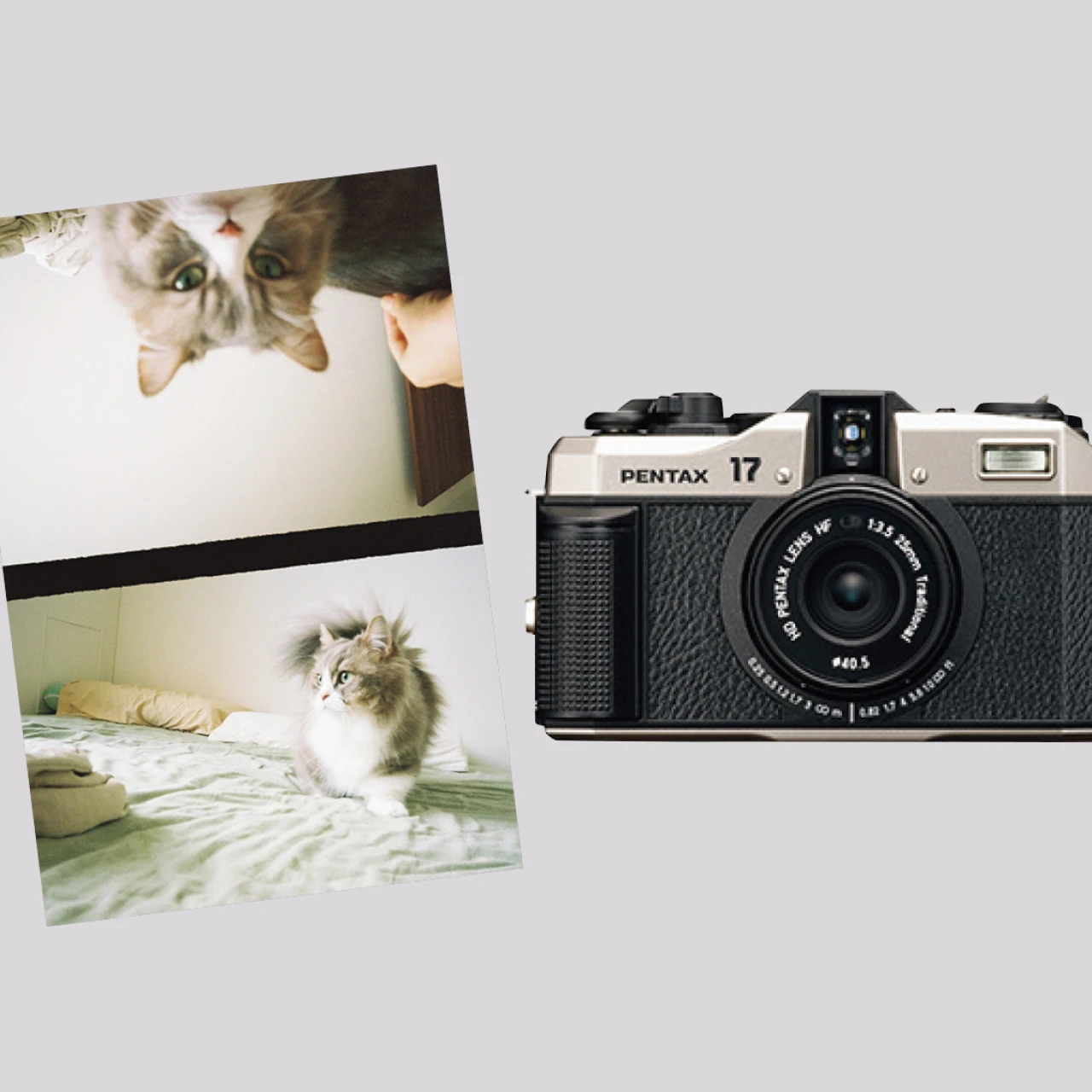 【カメラが欲しい！】レトロで味のある写真に仕上げたいなら「フィルムカメラ」がおすすめ