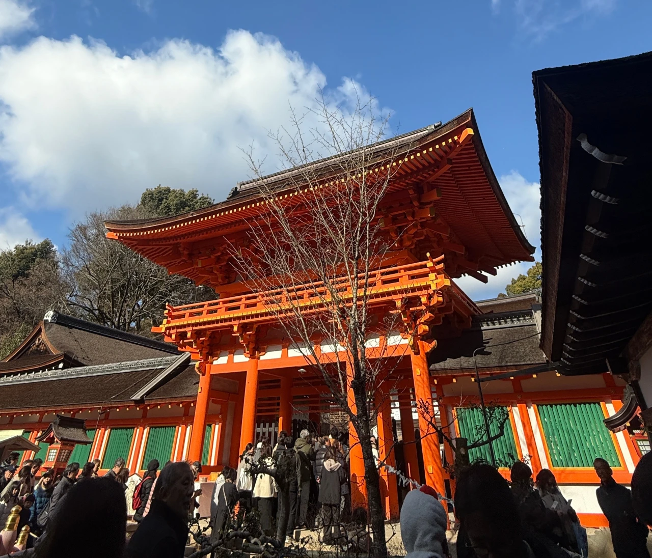 【2025年の開運神社！？】午年に訪れたい、京都・上賀茂神社