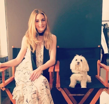 セレブ溺愛! 愛しのペットライフ【わんバカ編②】