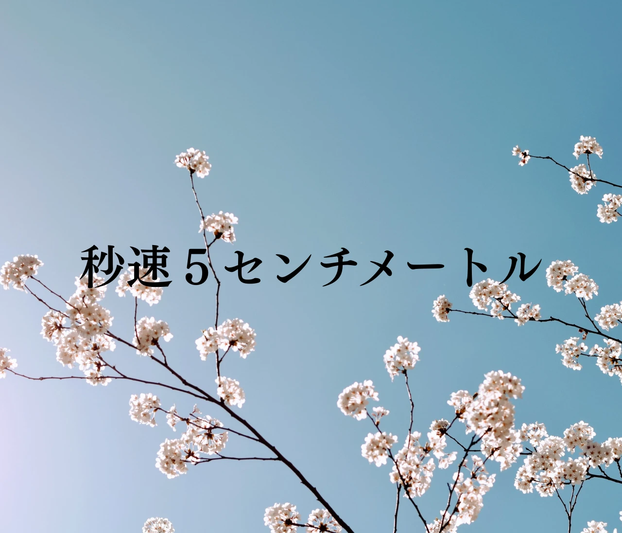 観ればきっとあの頃を思い出す、映画『秒速５センチメートル』