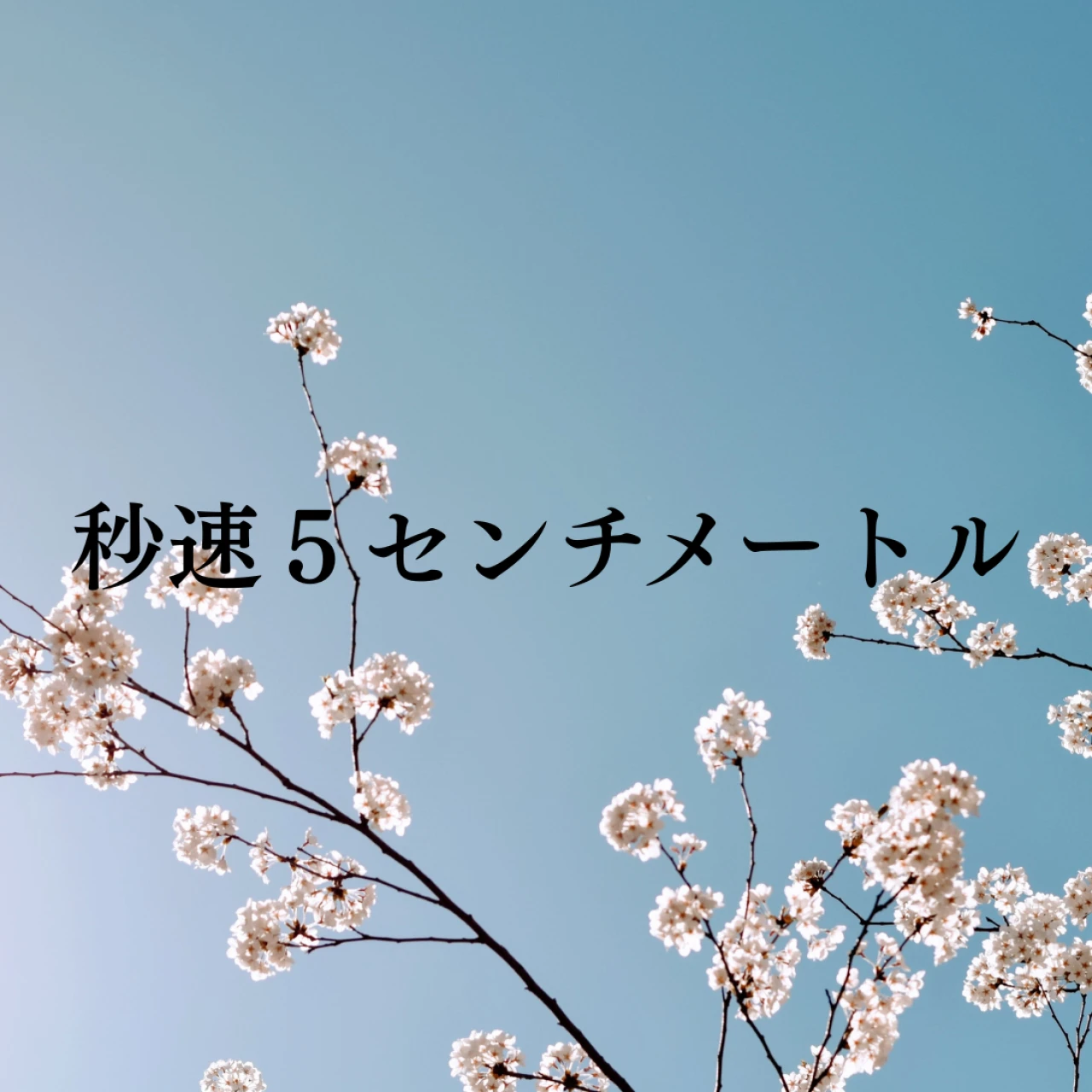 観ればきっとあの頃を思い出す、映画『秒速5センチメートル』