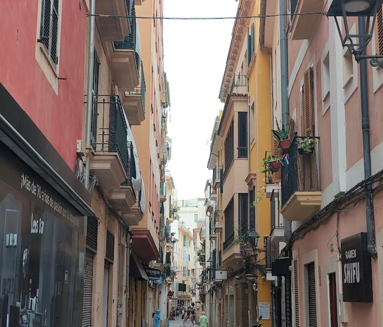 マヨルカ島1日モデルコース【女子一人旅】