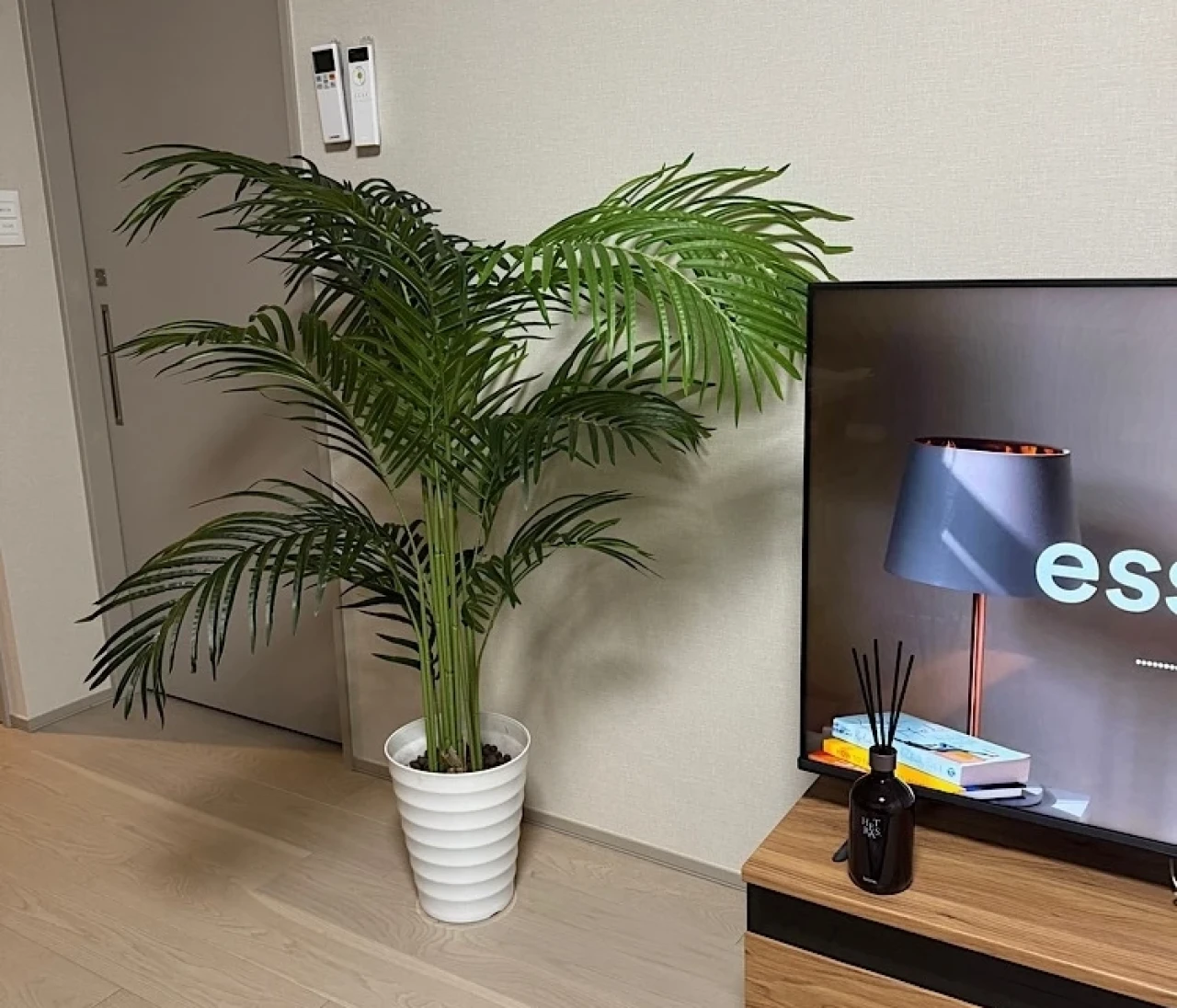 【インテリア】グリーン&花瓶でお部屋は垢抜ける！ #おうち部