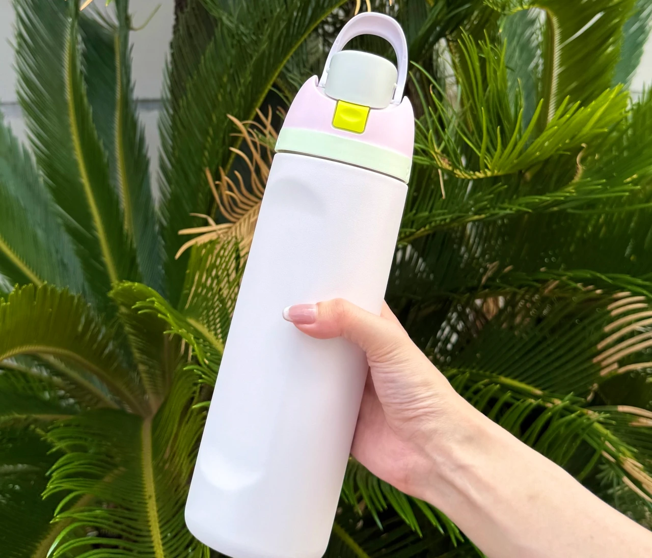 【SNSで話題】Owala FreeSip 24oz｜毎日使って分かった人気の理由。保冷力や2WAYの使いやすさをレビュー