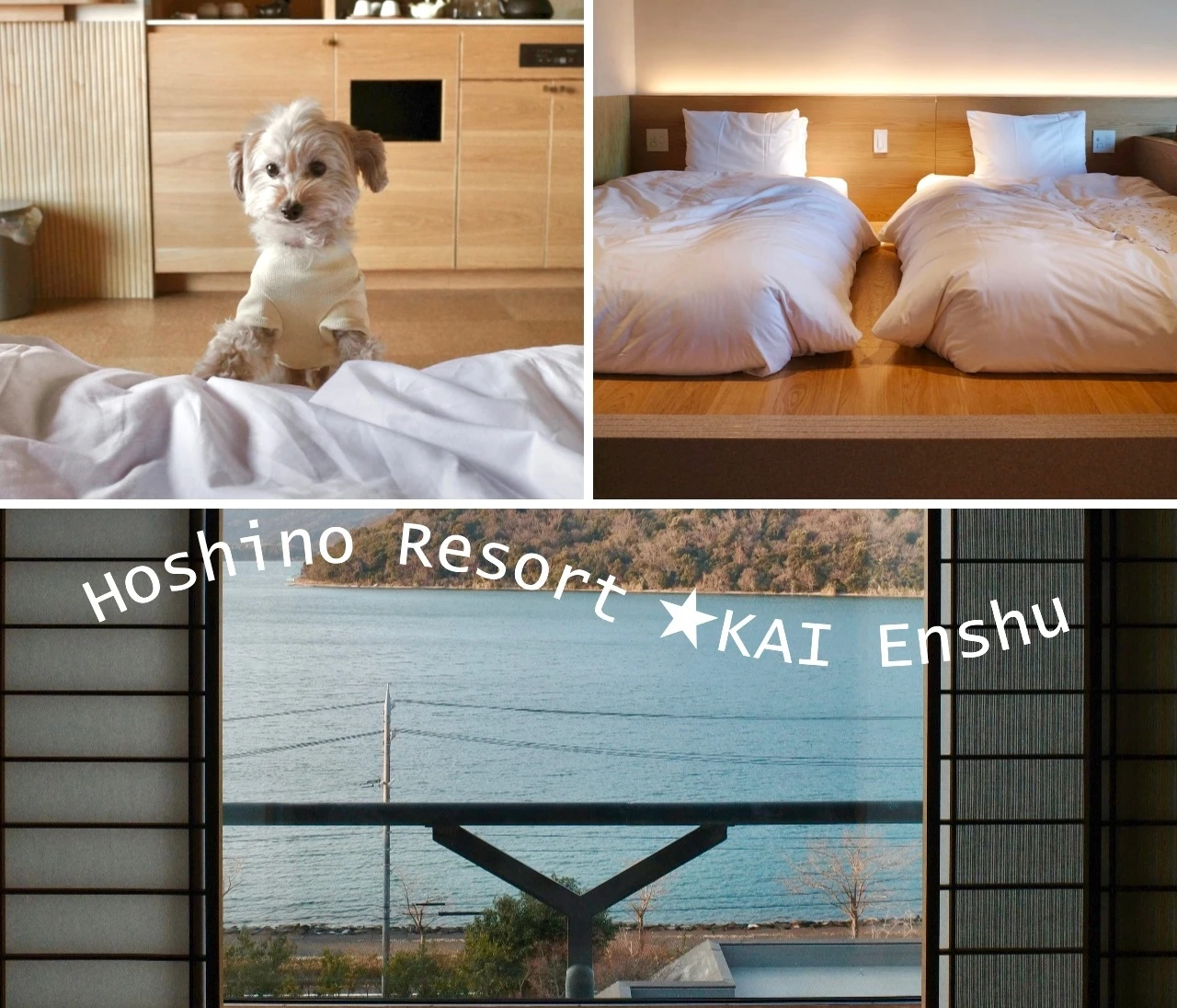 愛犬と泊まれる★子連れにもおすすめの宿① ~星野リゾート 界 遠州 ~