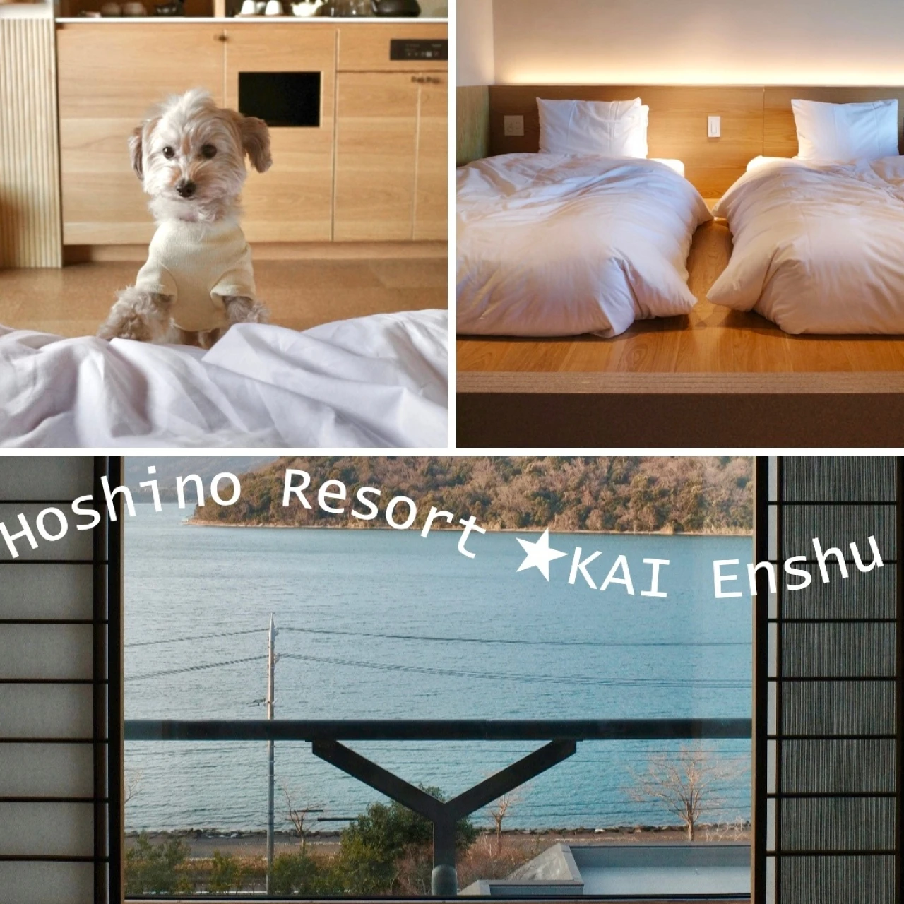 愛犬と泊まれる★子連れにもおすすめの宿① ~星野リゾート 界 遠州 ~