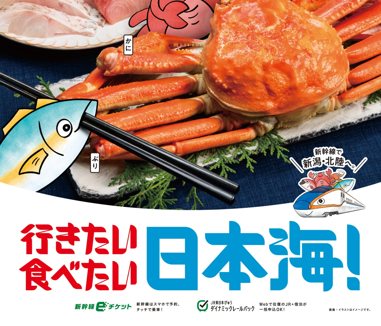 おトクがいっぱい！「行きたい 食べたい 日本海！」キャンペーンで日本海の海の幸を堪能しに出かけよう