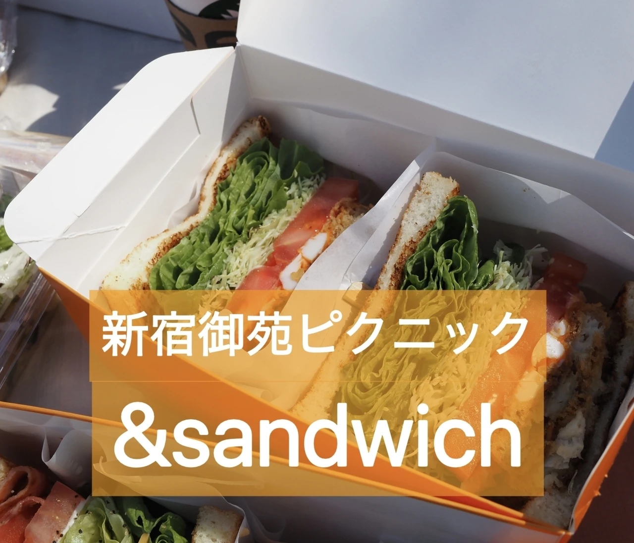 新宿御苑ピクニックにおすすめ！おしゃれサンド「＆sandwich」のテイクアウト