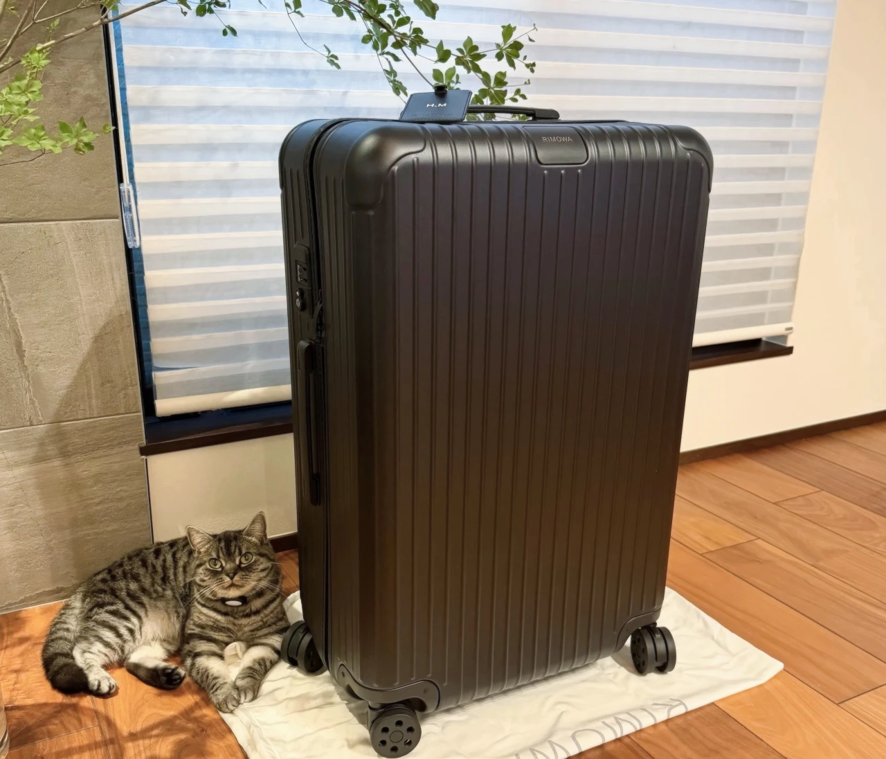 【名品スーツケース】旅の相棒を新調！ 絶対使えるリモワのチェックインL【エディターズピック】