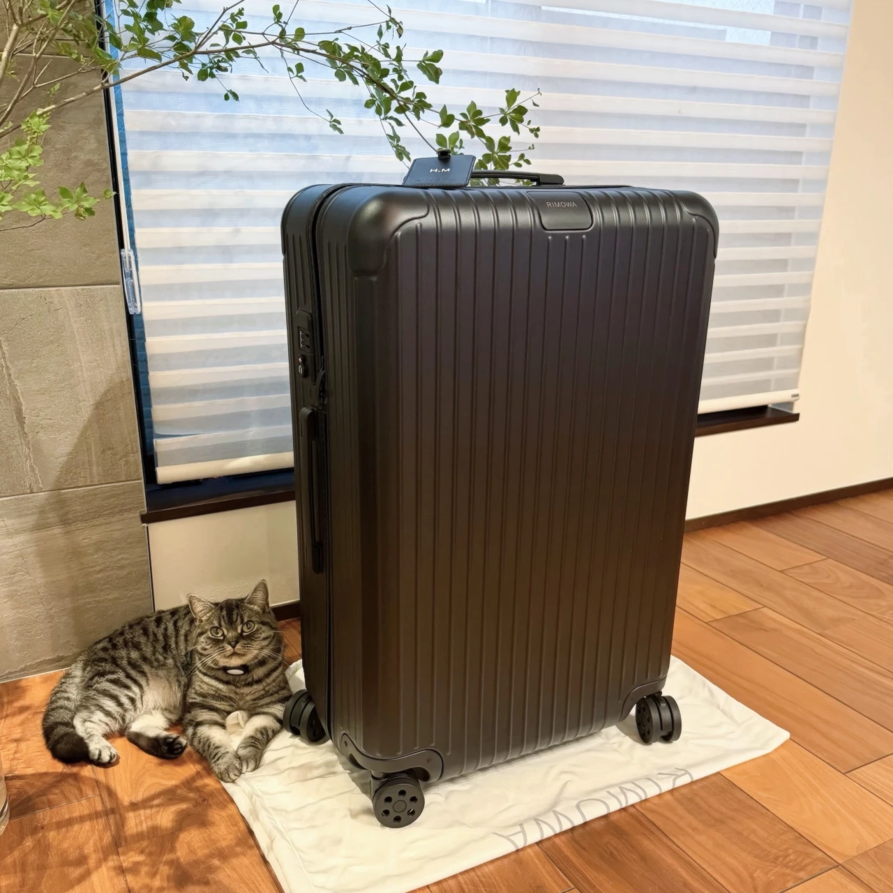 【名品スーツケース】旅の相棒を新調! 絶対使えるリモワのチェックインL【エディターズピック】