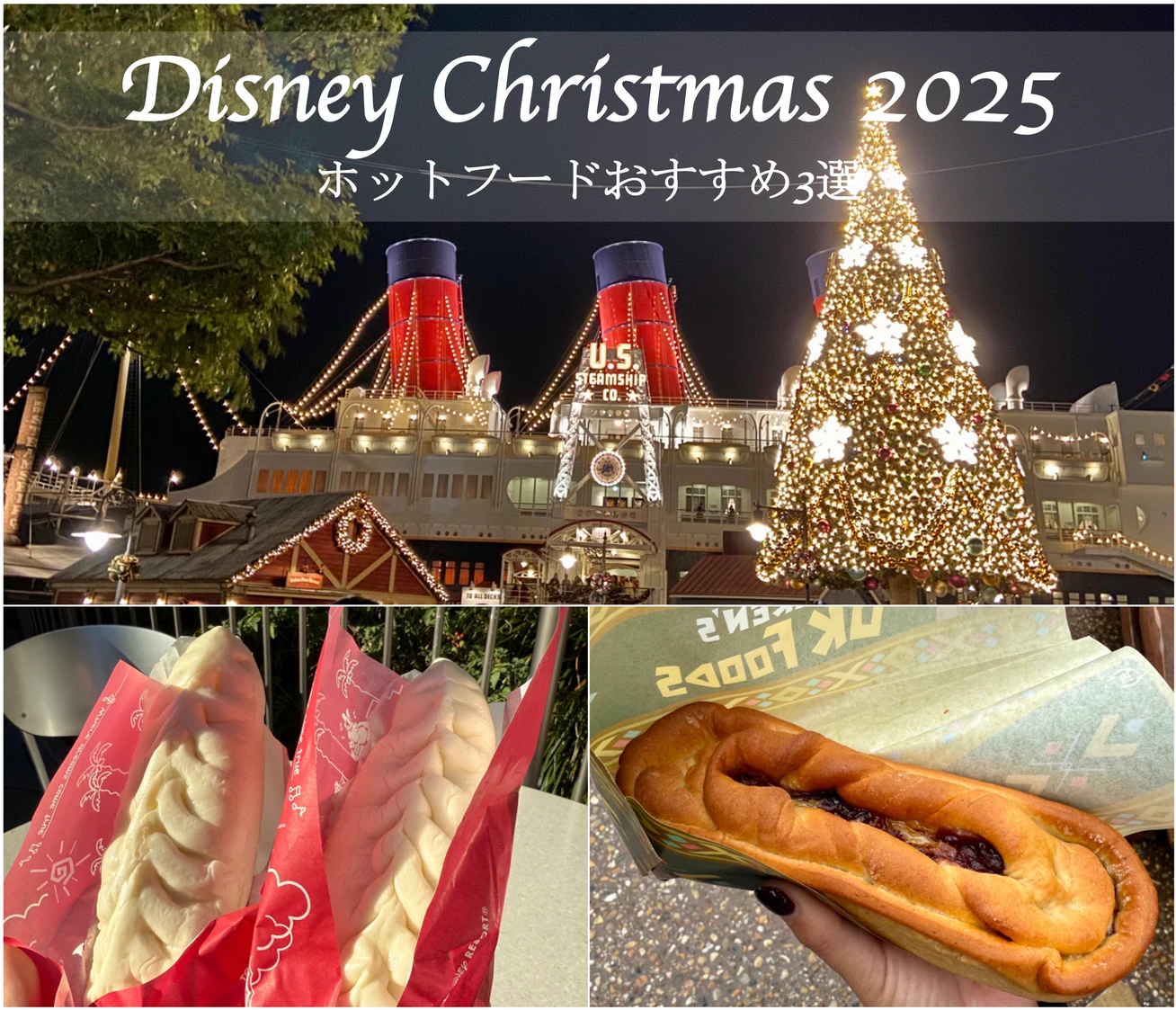 冬のディズニーシーで楽しむ、あったかグルメ3選⛄️