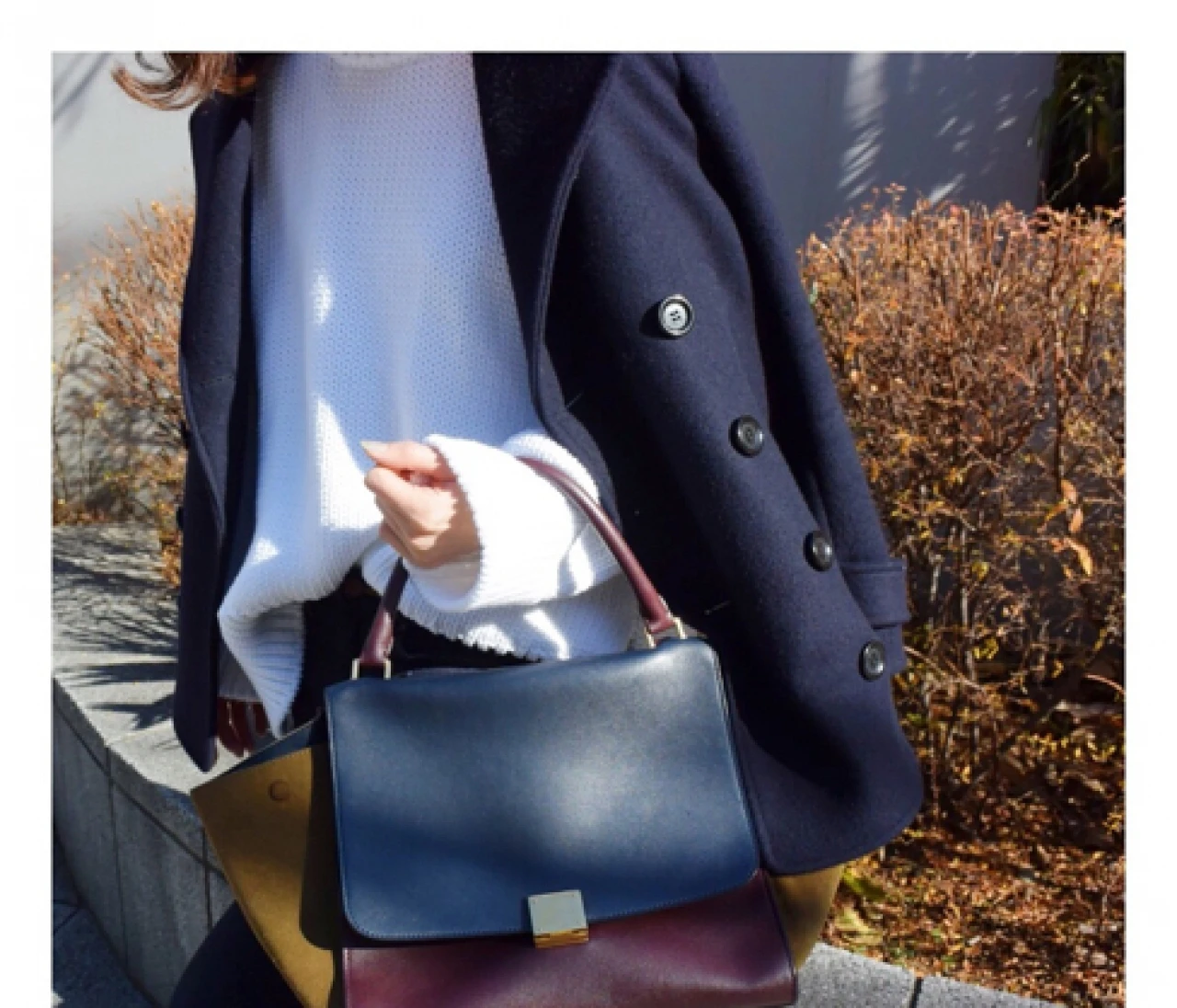 今日の主役*\(^o^)/*