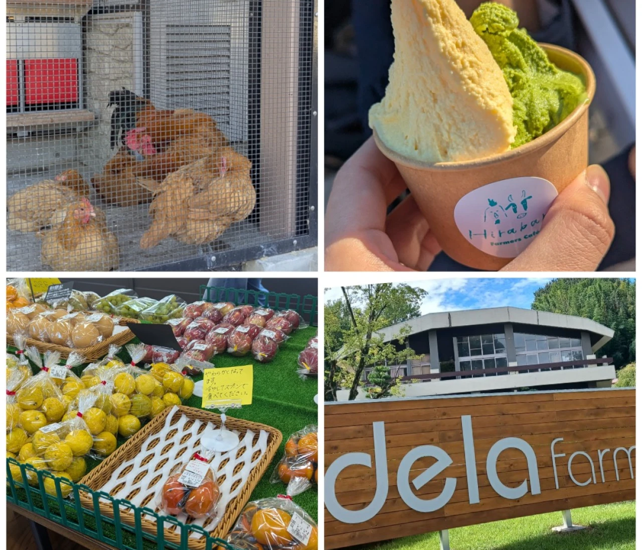 【名古屋】身近で農業が感じられる delaふぁーむ名古屋