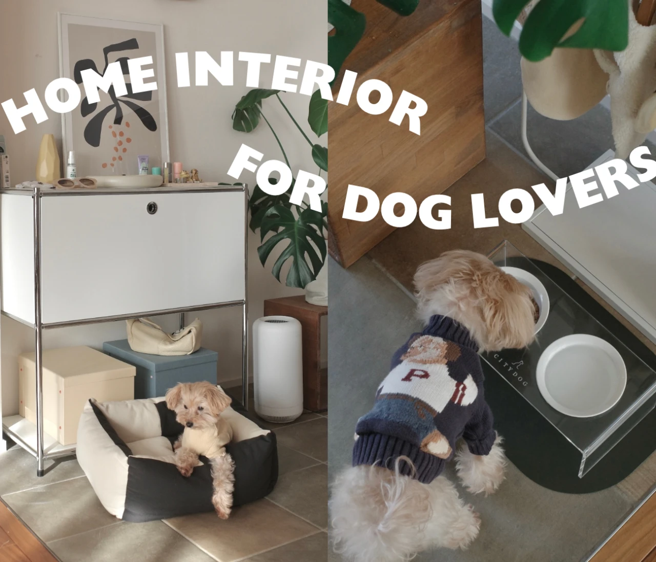ワンちゃんをお迎えしたお家におすすめしたい気分が上がるインテリア