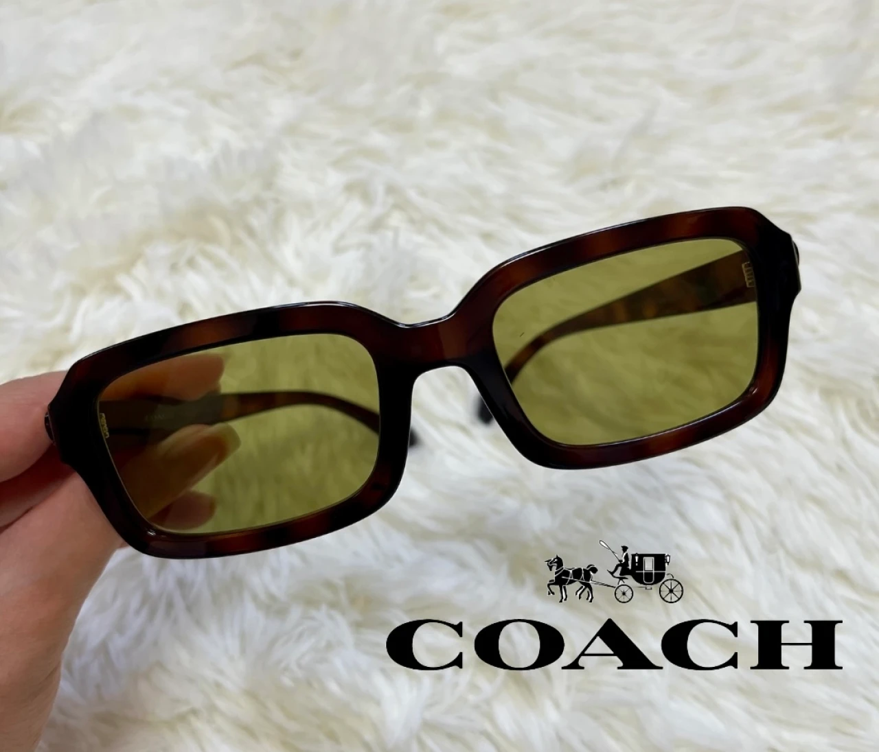 夏コーデを格上げ！この夏愛用したいCOACHのサングラス＃愛用サングラス♡