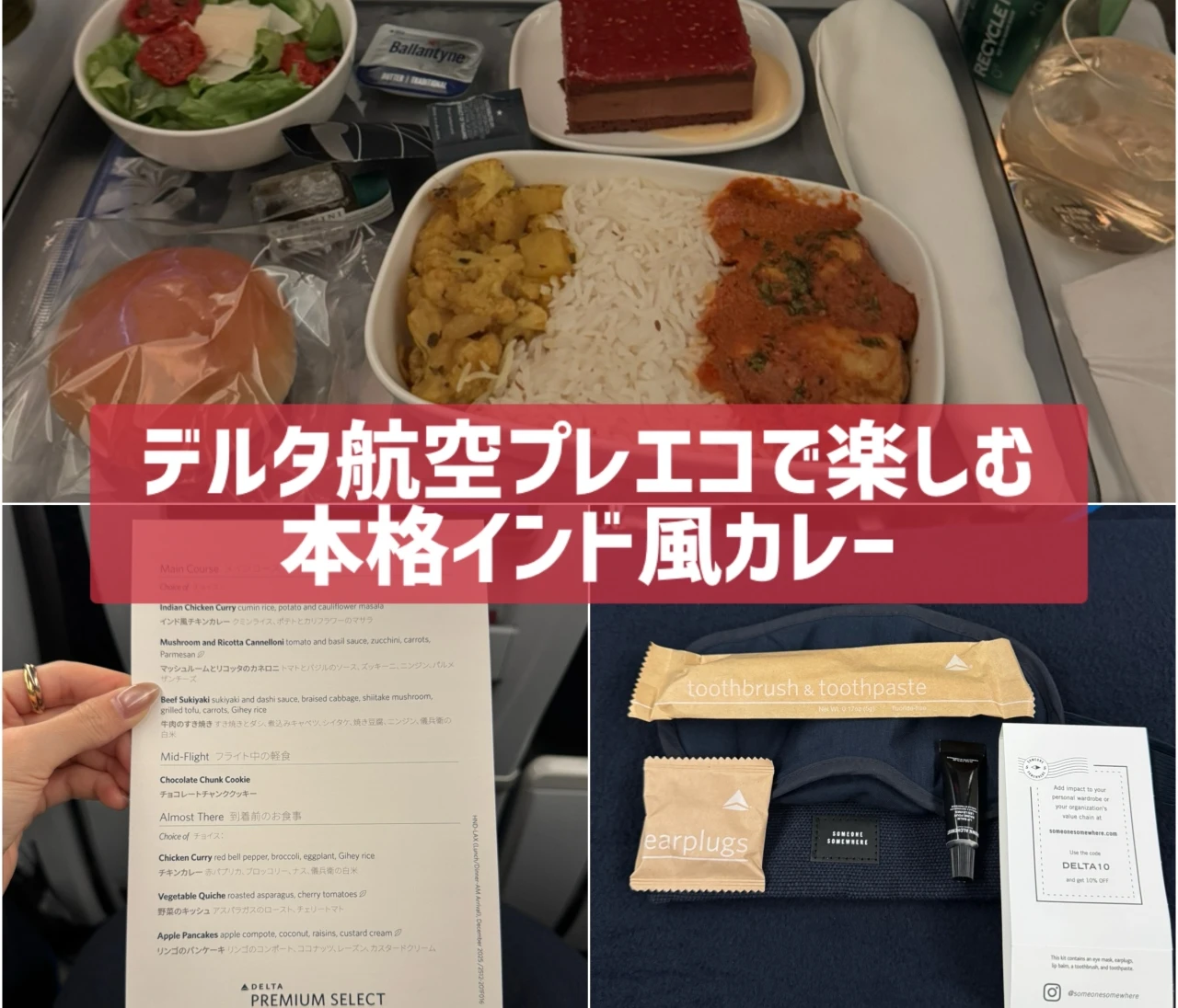 #機内食レポ｜デルタ航空で楽しむ本格インド風チキンカレー