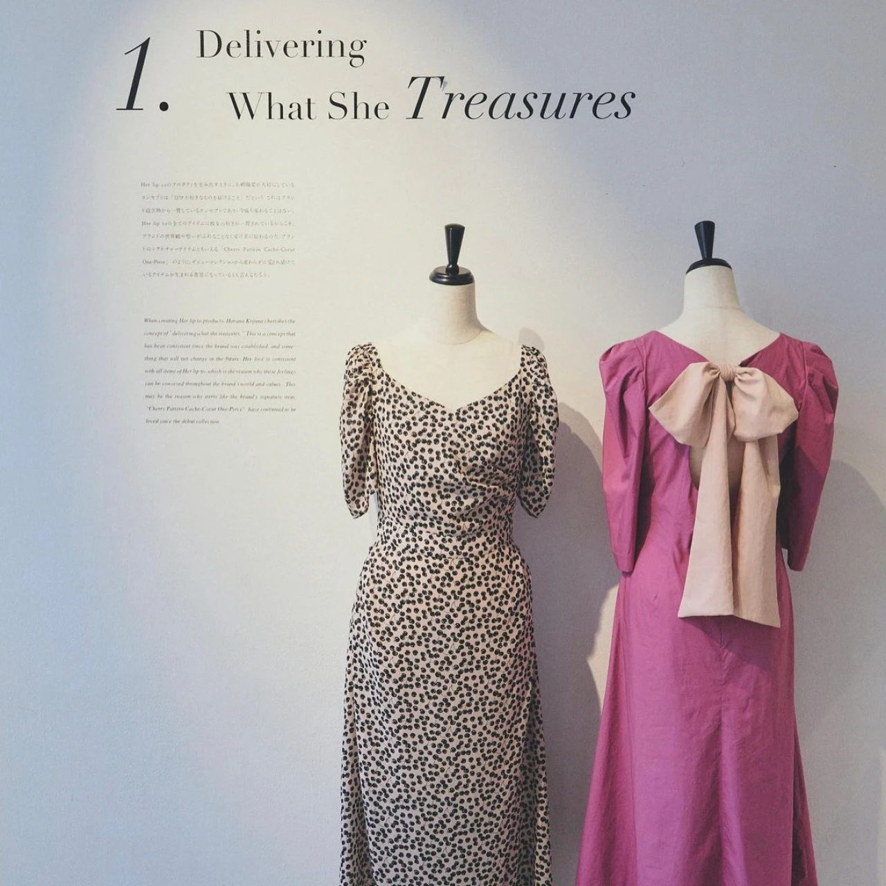 【小嶋陽菜プロデュース】Herlipto5周年イベントレポ