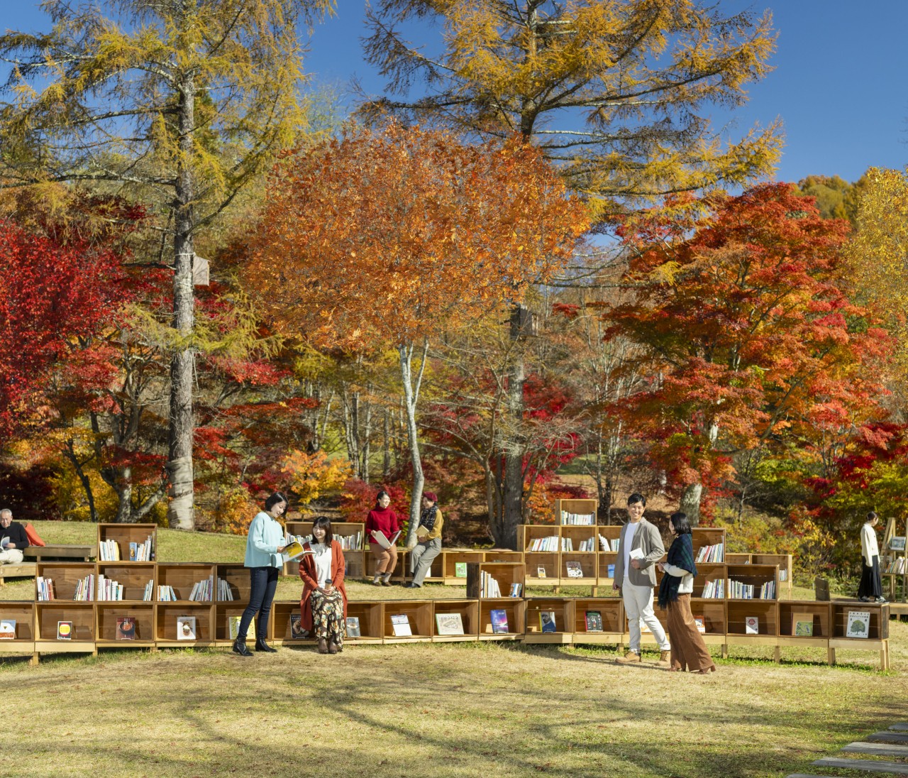 【星野リゾート】紅葉と川のせせらぎに包まれる「軽井沢紅葉図書館」がエリアを拡大して今秋も開催！