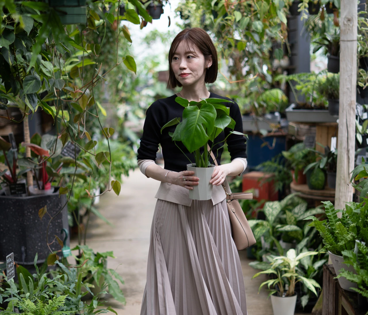 半年前に迎えた「モンステラ」。小さい株から育てて正解だった話