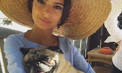 今週もお疲れ様♡セレブワンコでなごみたいワン