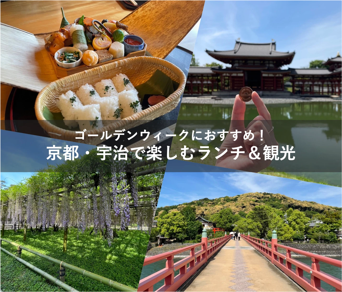京都・宇治｜平等院の藤はGWが見頃！＆宇治川沿いの「辰巳屋」で京弁当を堪能