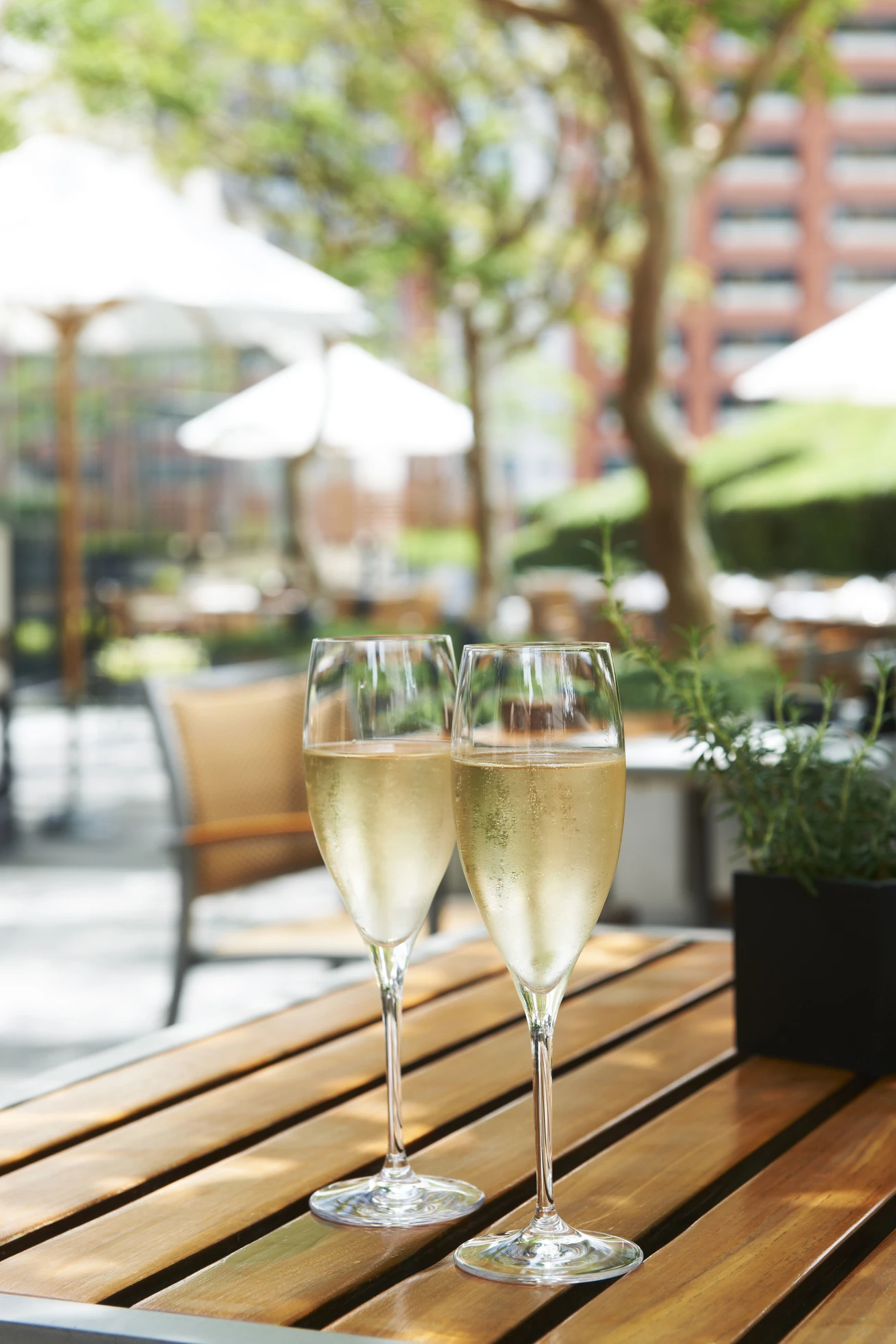 女子会はグランドハイアット東京のテラスで！コース料理を5000円代で楽しめる♥