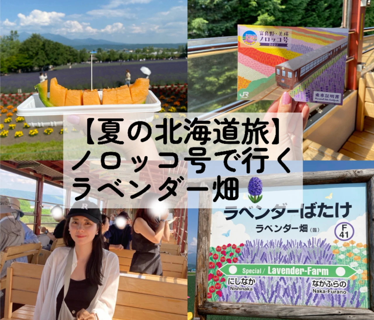 【2025年・夏】北海道・富良野のラベンダー畑へ！ノロッコ号でのんびり列車旅