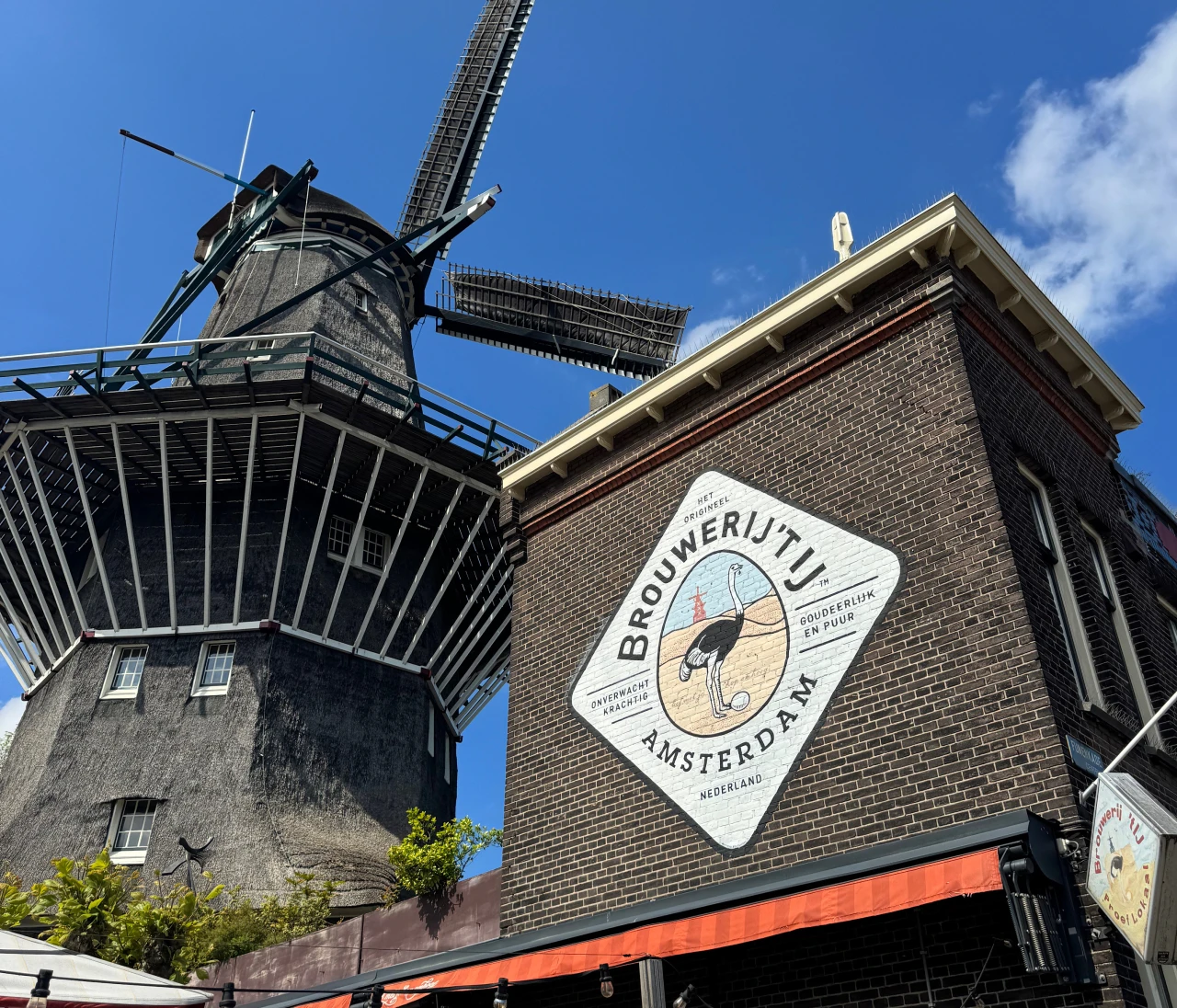 【初めてのオランダ旅】アムステルダムのおすすめグルメ5選！