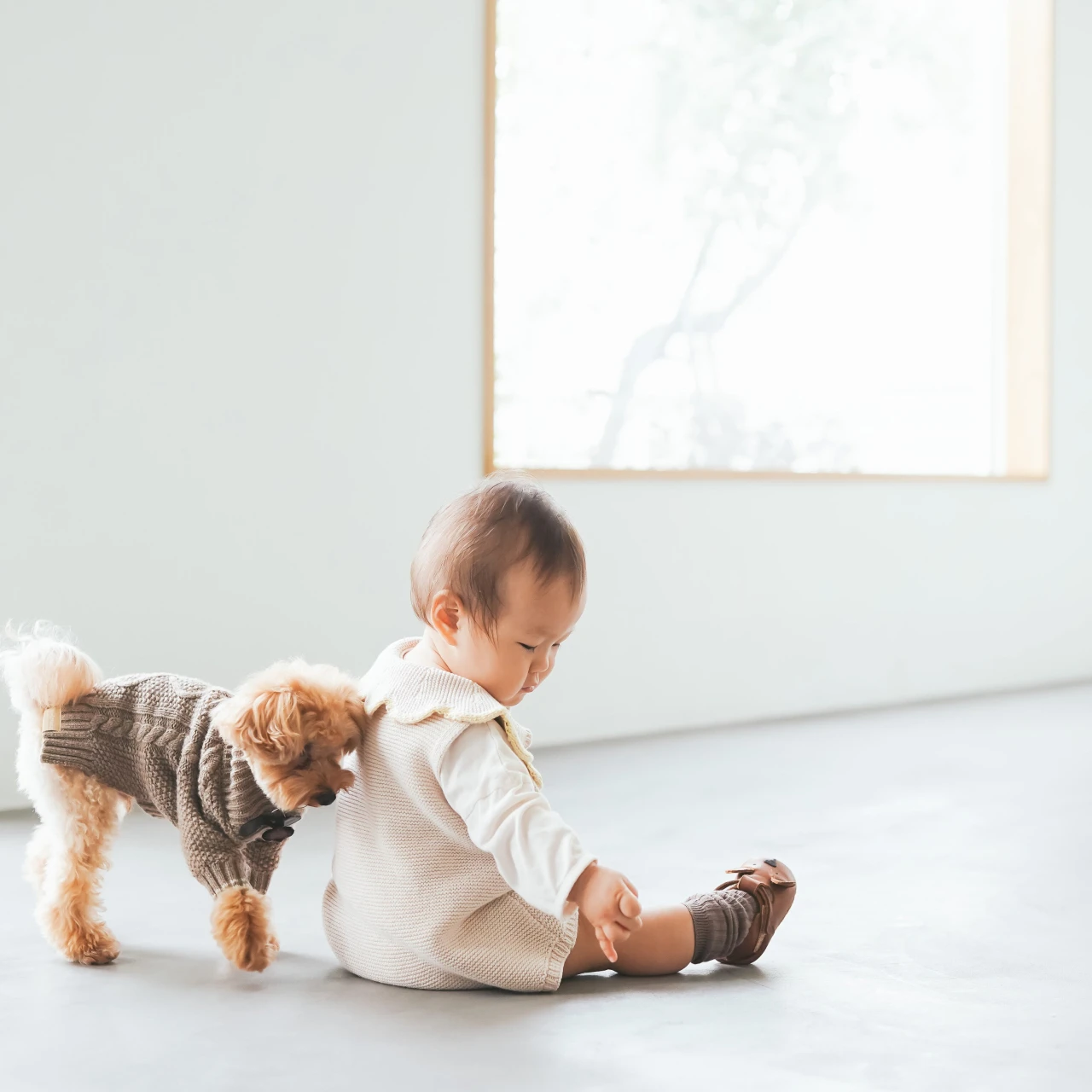 ママさん必見！ニューボーンフォト、七五三などハレの日に使いたい自然光の入る撮影スタジオ