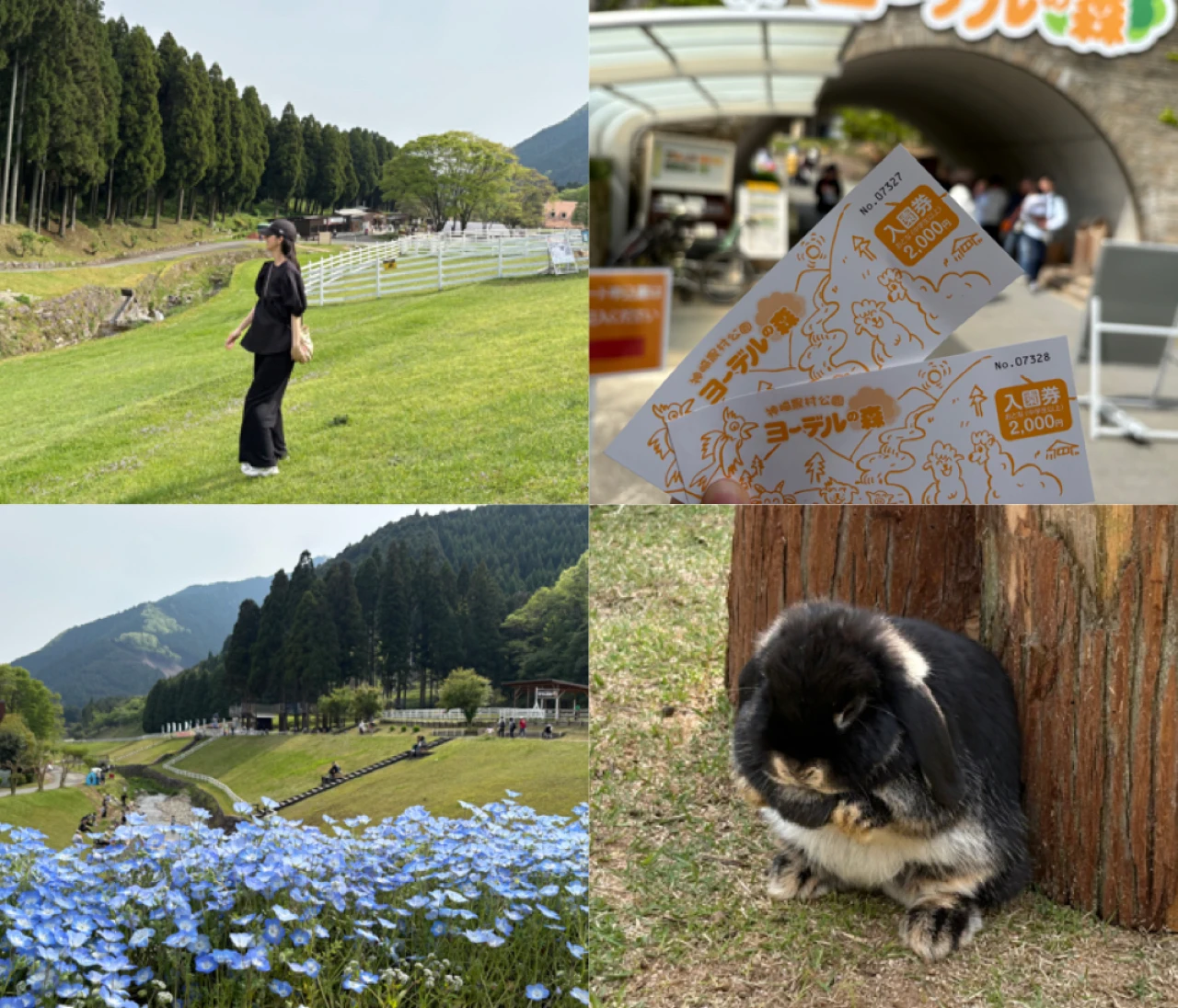 動物＆自然好きの大人が大満足！兵庫県神崎郡の『ヨーデルの森』で癒しのナチュラル体験♡