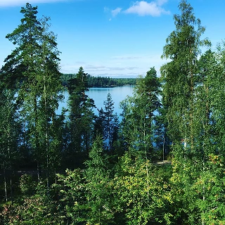 森と湖の国フィンランドが育む おいしいピュアフードに出合う旅！ 1 