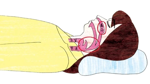 どうしていびきをかくの？止められないの？ いびきのメカニズムを専門家に聞きました！