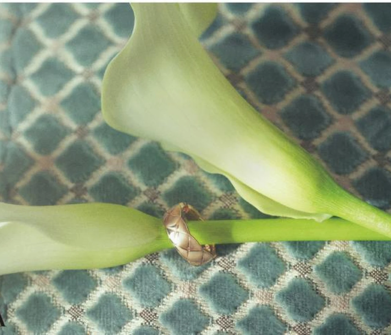 2026年の目標にしたい！ご褒美リスト（写真）