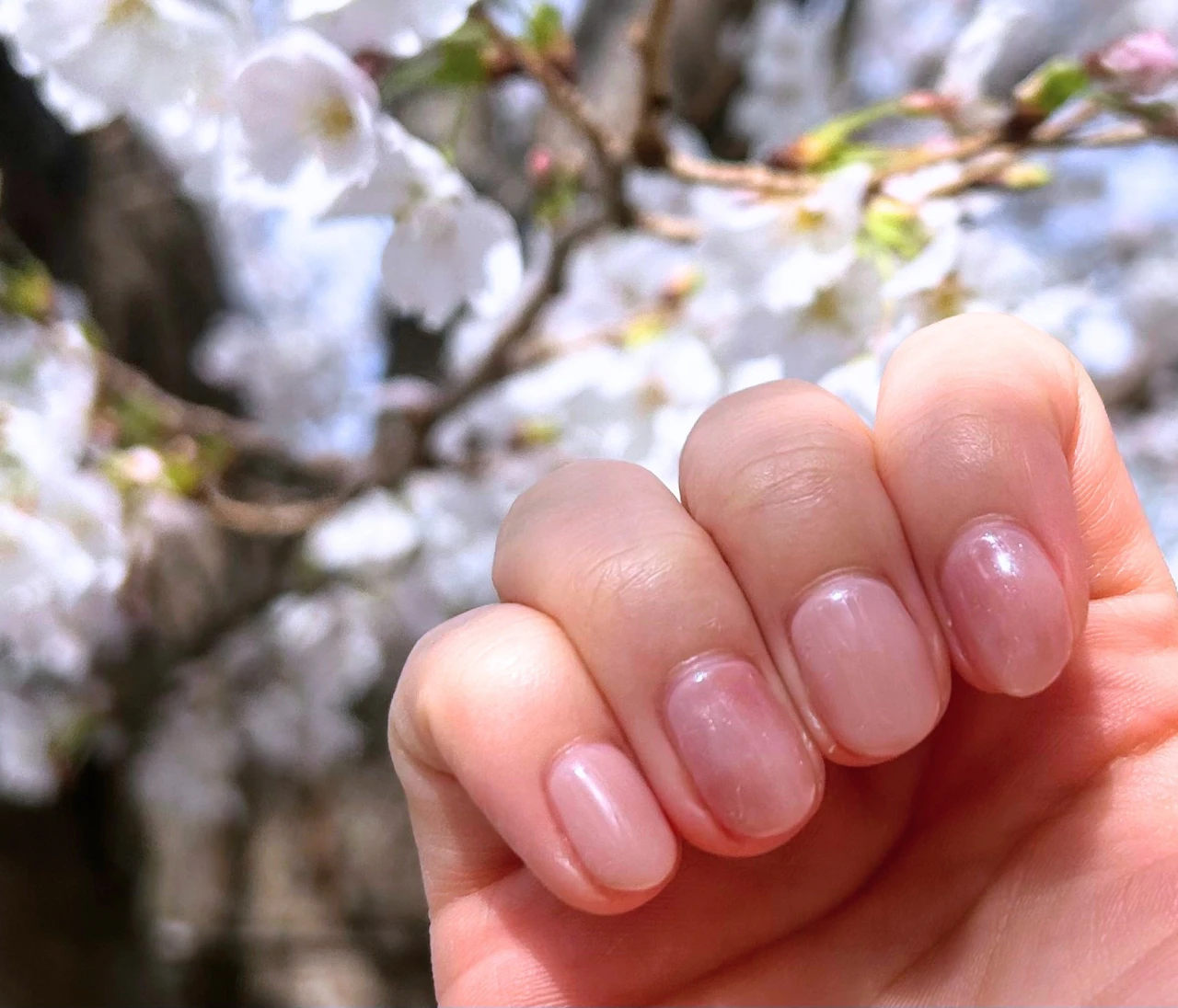 【2026春オフィスネイル】大人に似合う「桜マーブル」で手元をアップデート