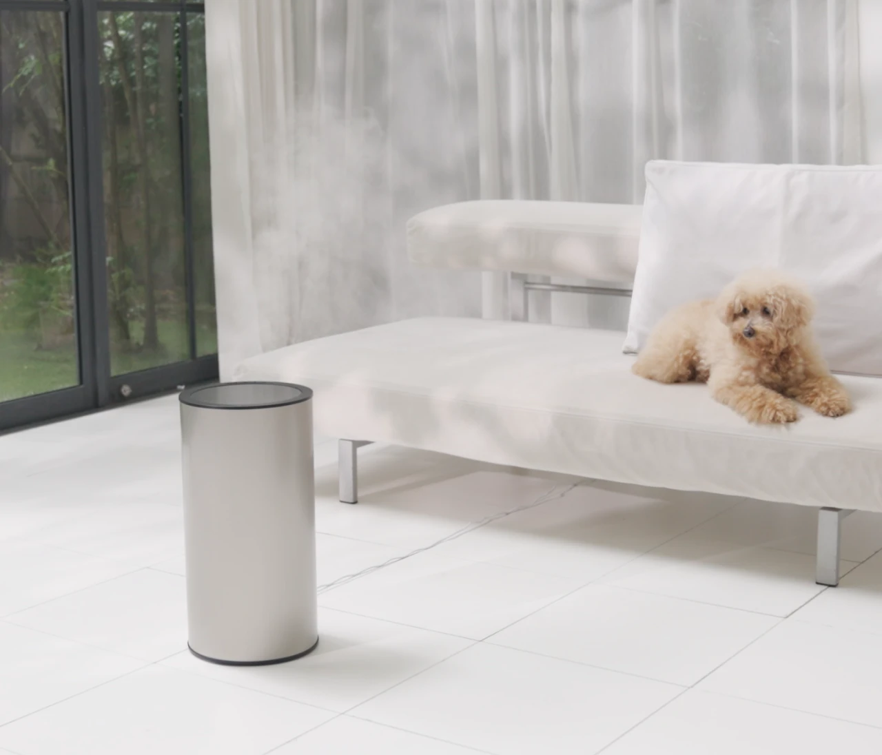 【BAILA公式Instagramフォロー&いいねキャンペーン】『moya』の加湿器（ブラック）を合計1名様にプレゼント！