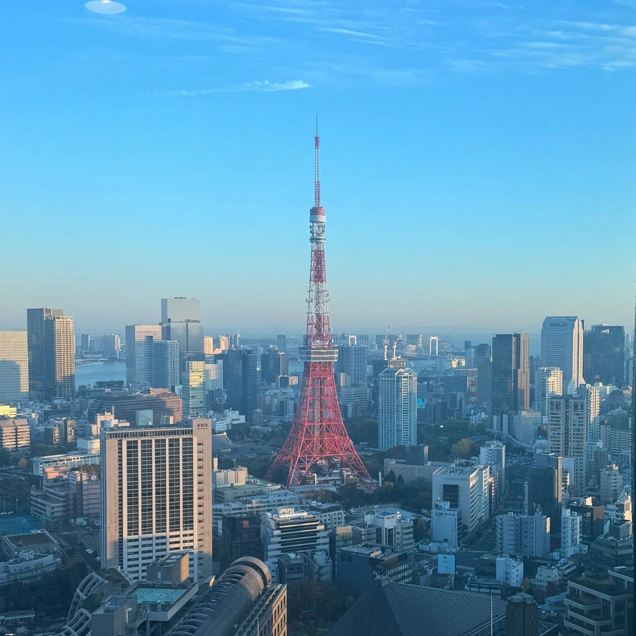 ここが好き!外資系企業の素敵な文化あれこれ