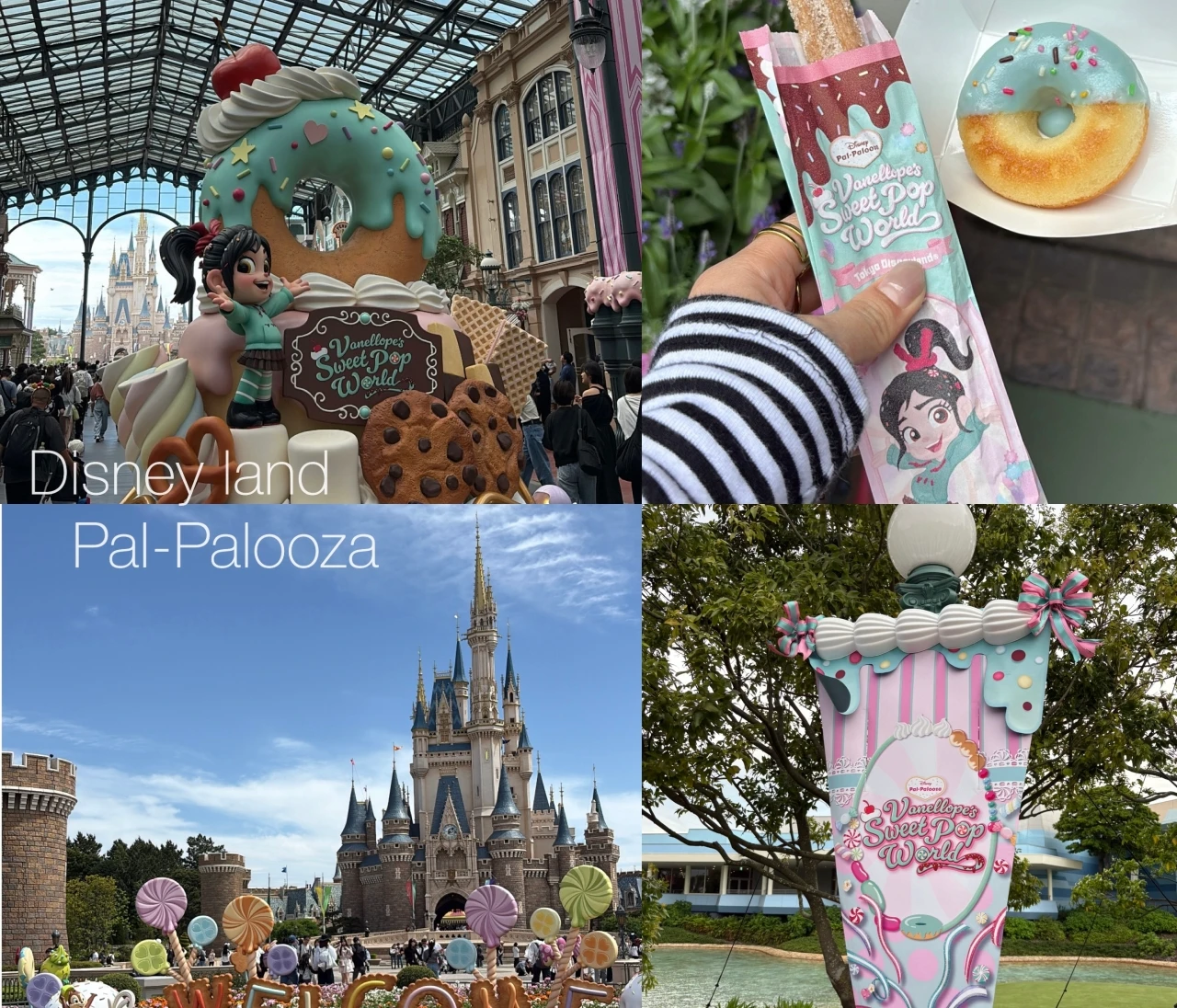 ディズニーランド♡ヴァネロペのパルパルーザレポ