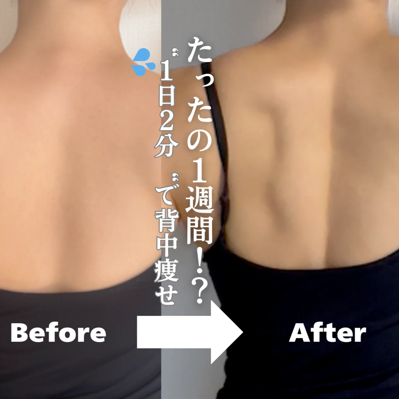 【夏までに−5歳背中】たった2分!30代筋トレ女子が本気で推す“座って背中痩せ”3選