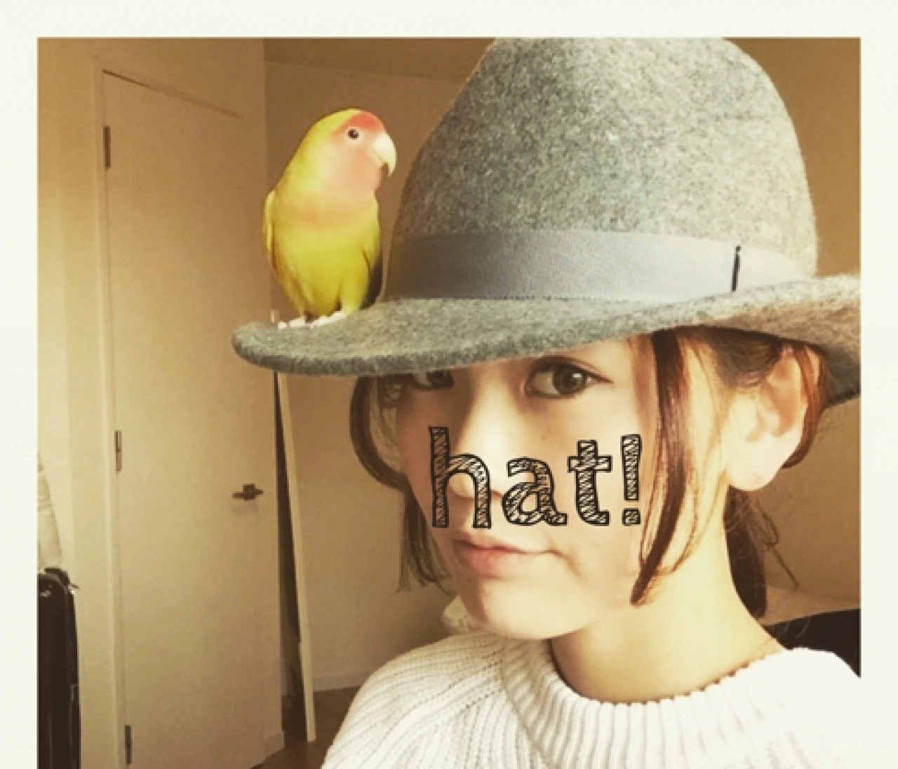 私の相棒です。