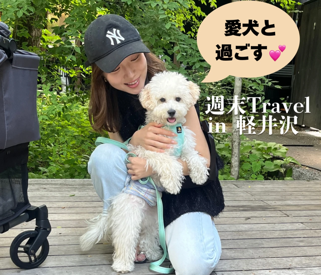 【軽井沢旅行】連休目前！愛犬と過ごせるおすすめスポットはここ🐾#旅行部