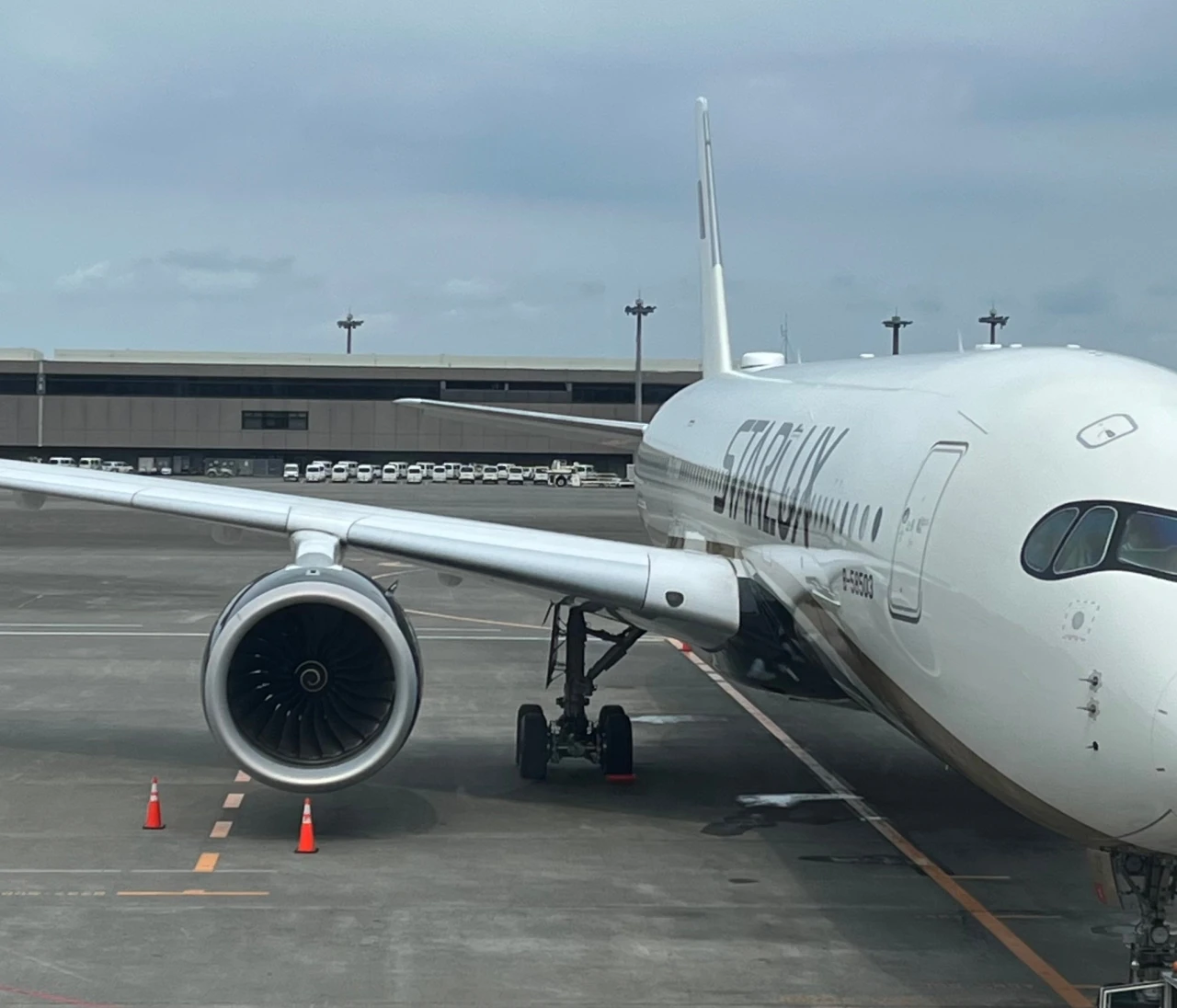 【搭乗記ブログ】スターラックス航空エコノミー＆プレミアムエコノミー比較レポ〜豪華すぎる台湾発エアライン〜