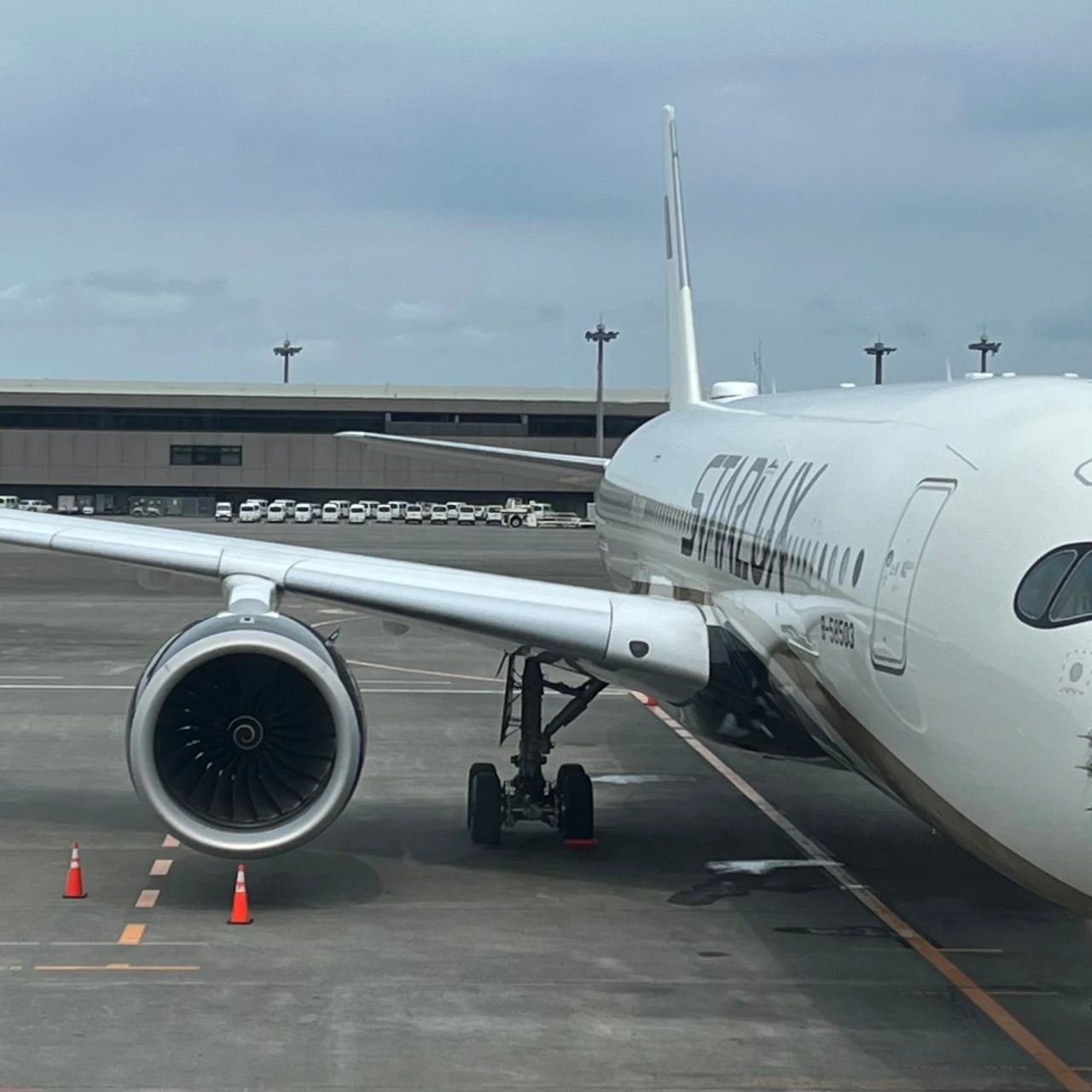 【搭乗記ブログ】スターラックス航空エコノミー＆プレミアムエコノミー比較レポ〜豪華すぎる台湾発エアライン〜