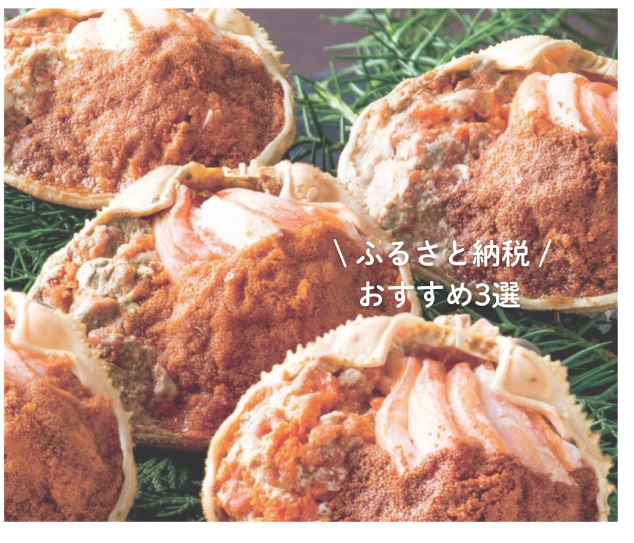 ポイント還元廃止前に〜【ふるさと納税おすすめ3選】お買い物マラソンでさらにお得🩷