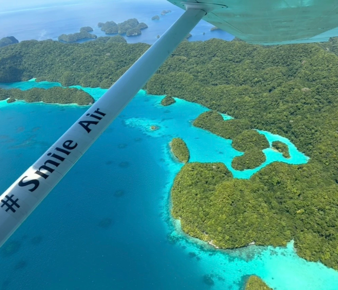 【パラオ旅行⑤】パラオで楽しかったアクテビティ