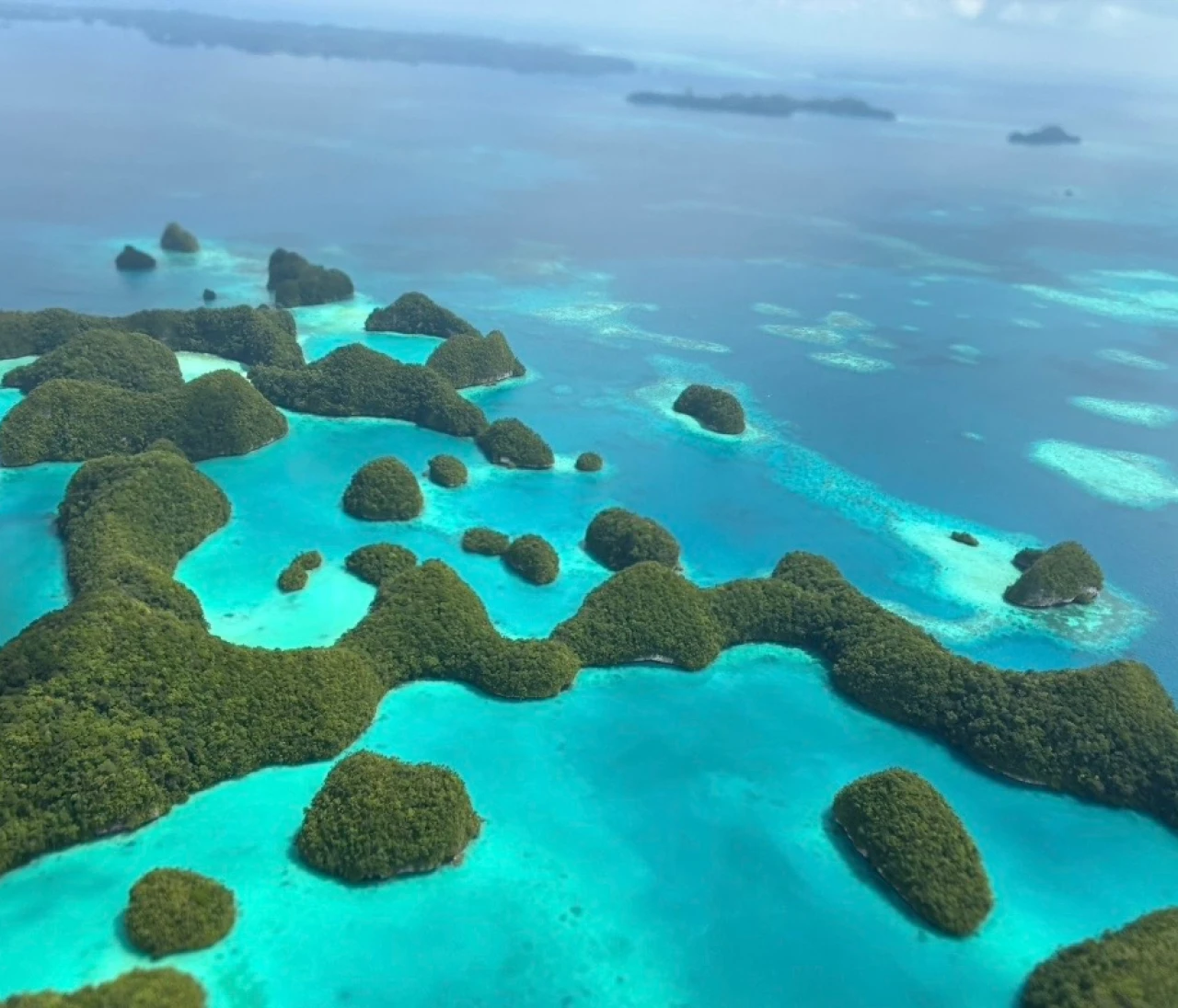 【パラオ旅行①】ハネムーンでパラオに行ってきました🇵🇼