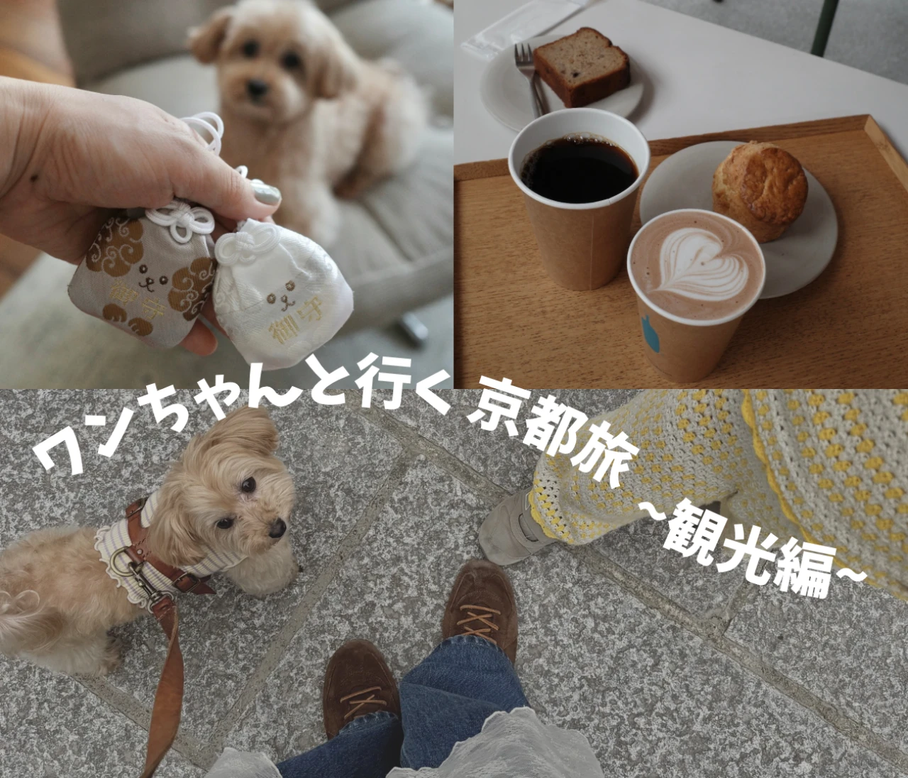 【犬連れ京都観光】愛犬と巡る京都のおしゃれスポット4選｜カフェ・お寺・フォトスポットまで満喫