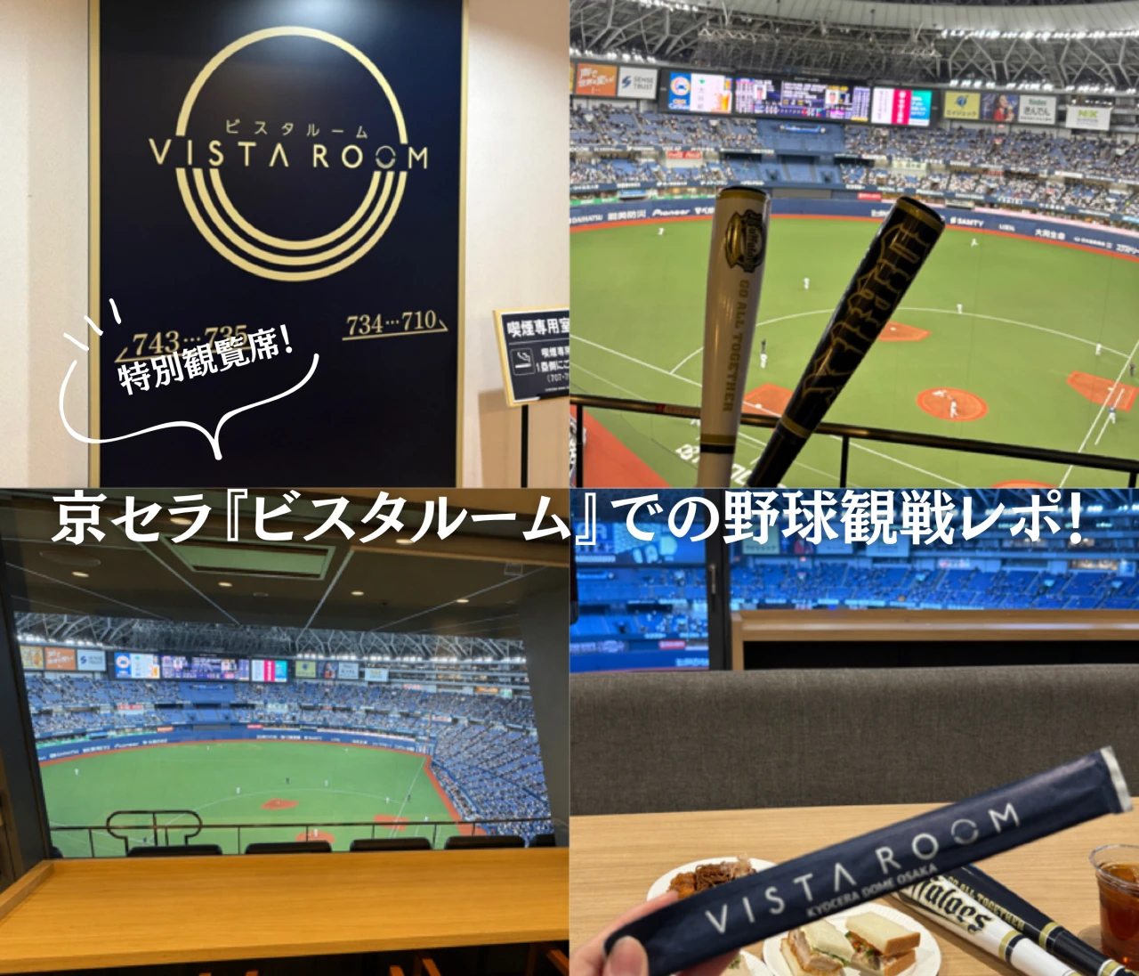 京セラドーム特別観覧席「ビスタルーム」で野球観戦！お食事付きの贅沢空間を徹底レポ